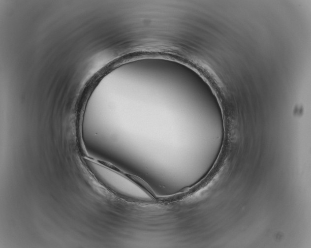 X0000094461114200711151443
