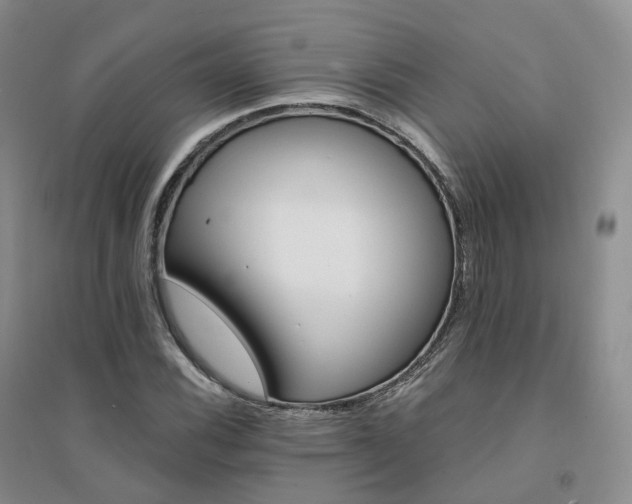 X0000094461116200711151444