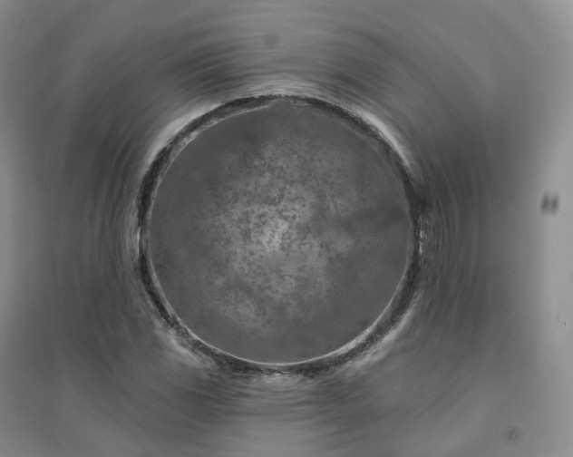 X0000094461117200711151444