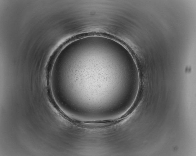 X0000094461118200711151444