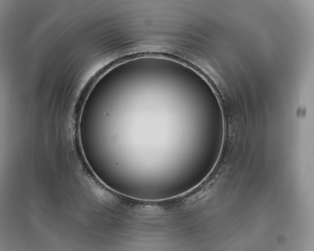 X0000094461119200711151444
