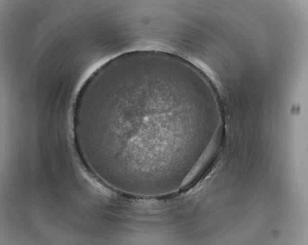 X0000094461120200711151444