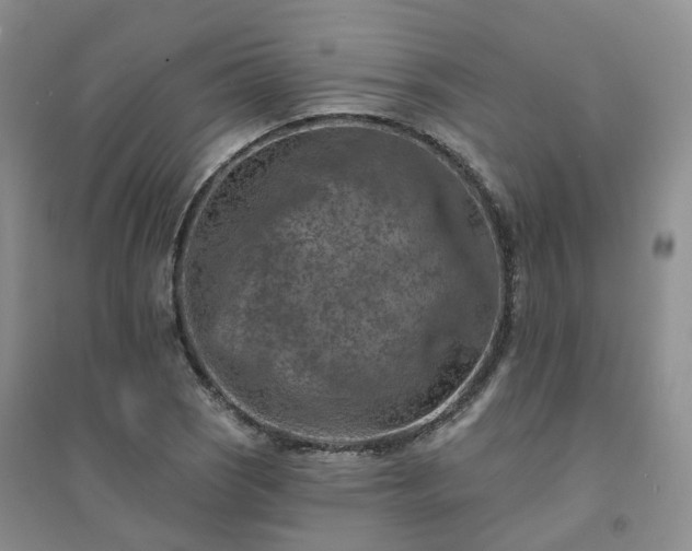 X0000094461121200711151444