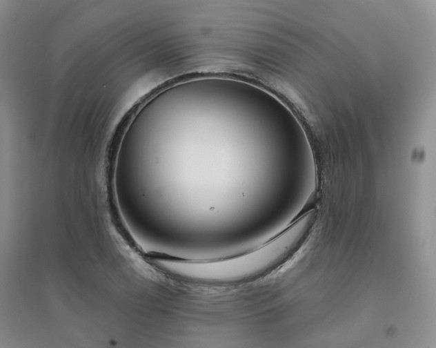 X0000094461122200711151444