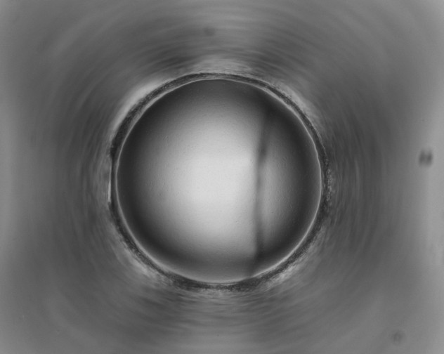 X0000094461123200711151444