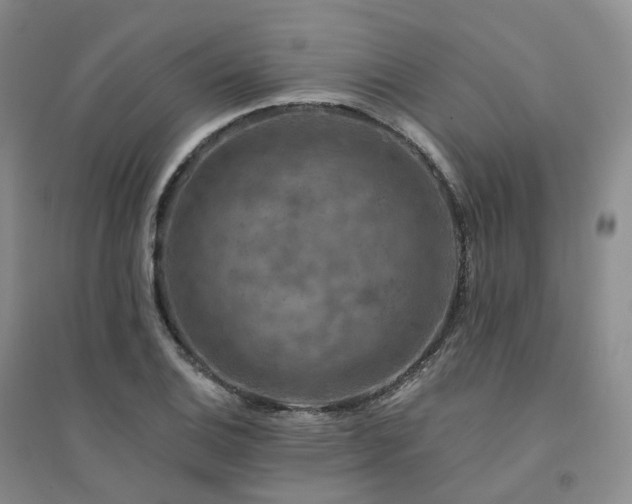 X0000094461124200711151444