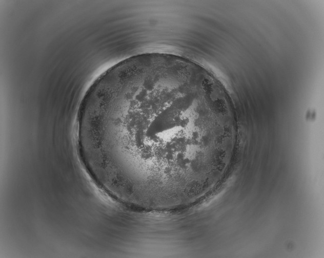 X0000094461125200711151444