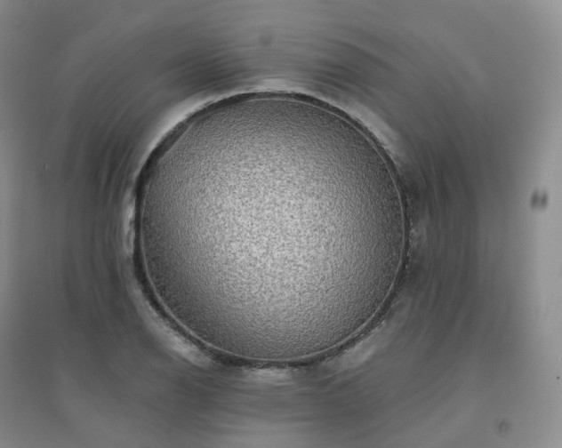 X0000094461126200711151444