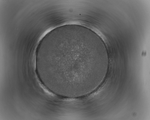 X0000094461127200711151444