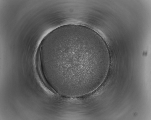 X0000094461128200711151444