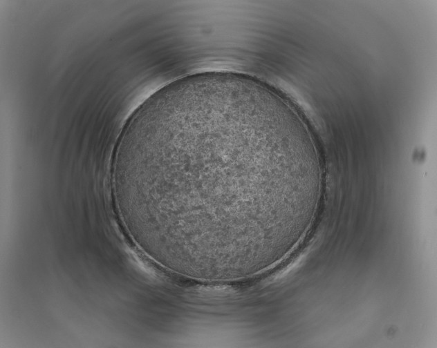 X0000094461129200711151444