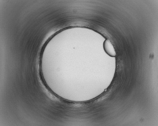 X0000094461130200711151444