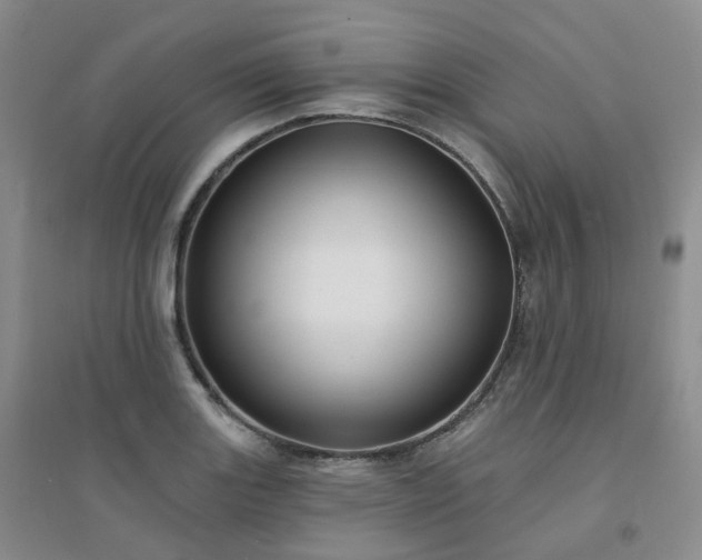 X0000094461131200711151444