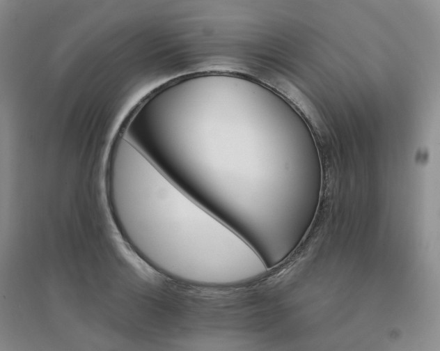 X0000094461132200711151444