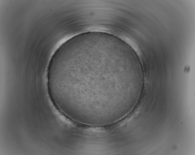 X0000094461133200711151444
