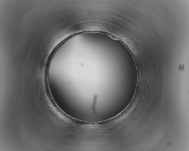 X0000094461134200711151444