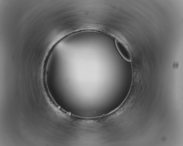 X0000094461135200711151444