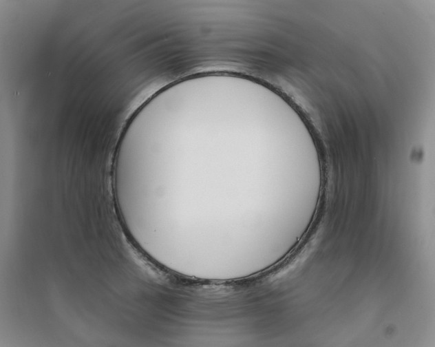 X0000094461137200711151444