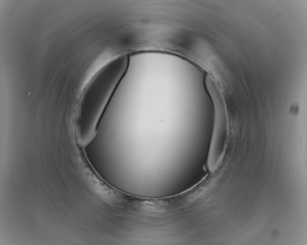 X0000094461138200711151444