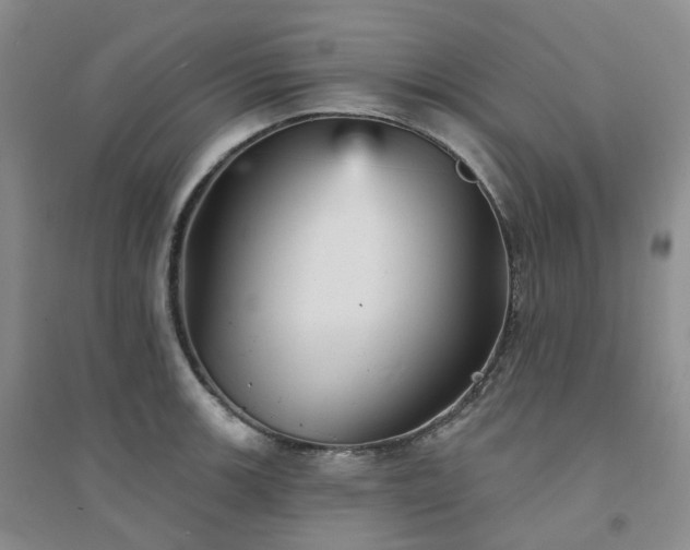 X0000094461139200711151444