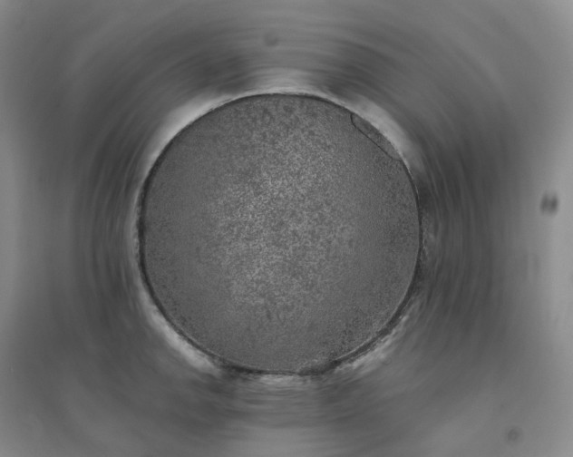 X0000094461142200711151444