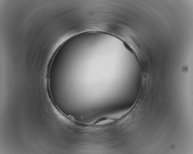 X0000094461143200711151444
