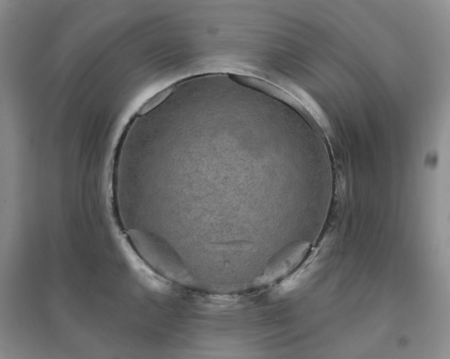 X0000094461144200711151444