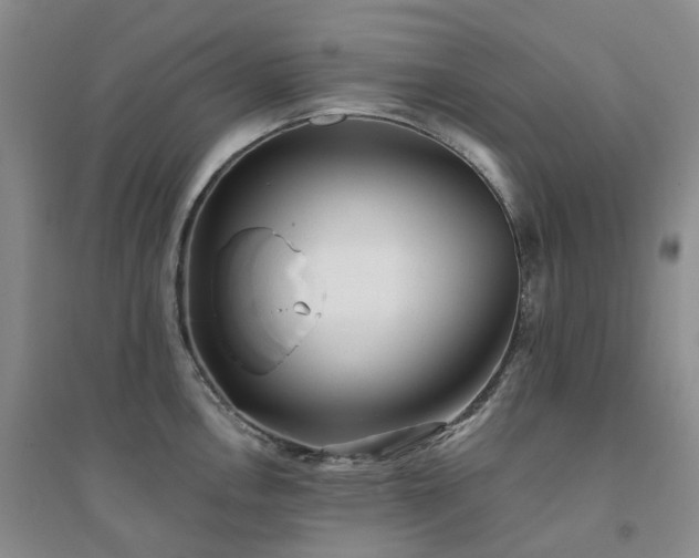X0000094461146200711151444