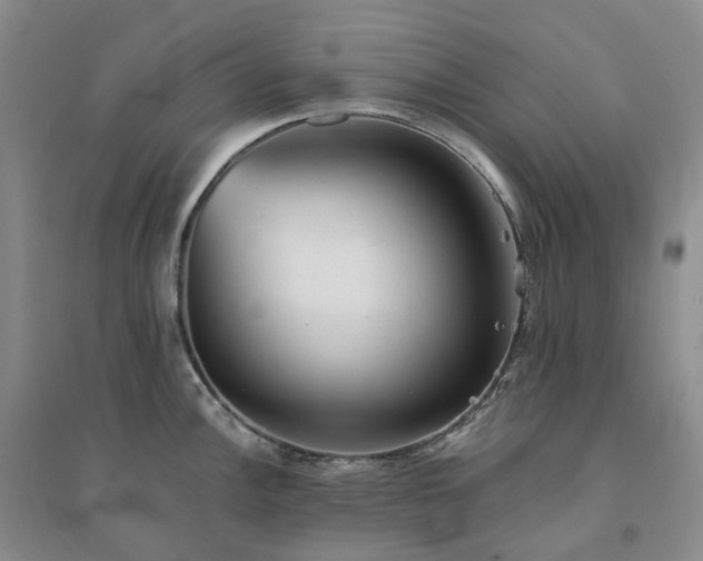 X0000094461148200711151444