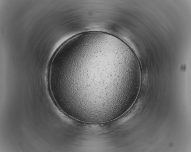 X0000094461149200711151444