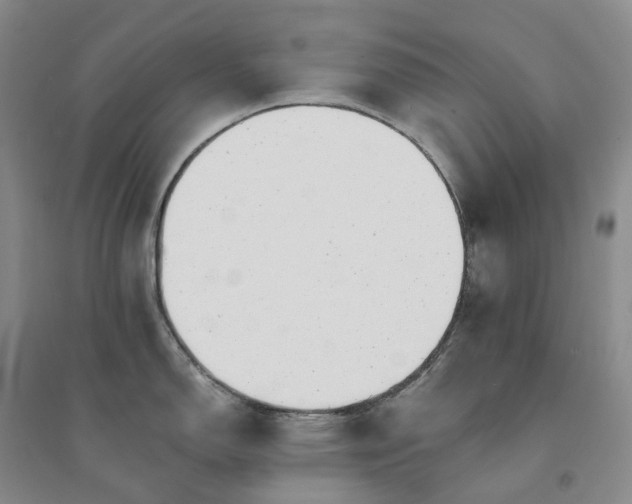 X0000094461150200711151444