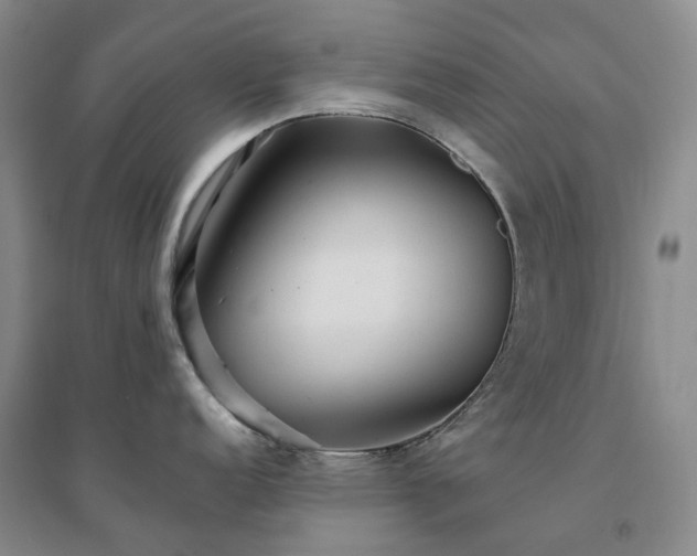X0000094461152200711151444