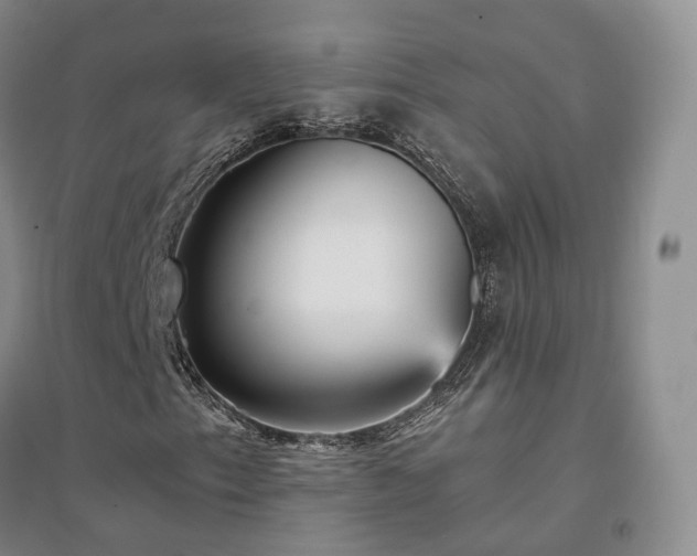 X0000094461153200711151443