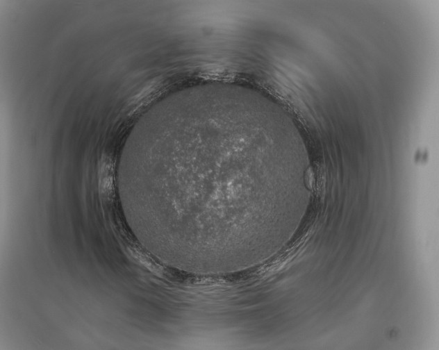 X0000094461154200711151443