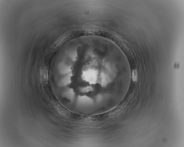 X0000094461155200711151443