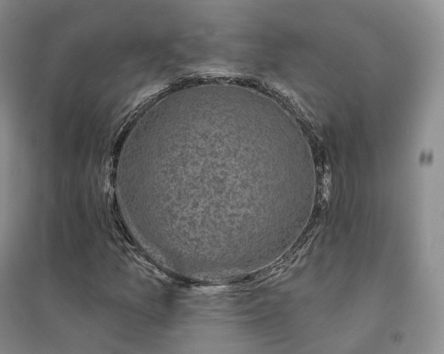 X0000094461157200711151443