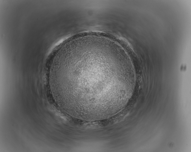 X0000094461159200711151443