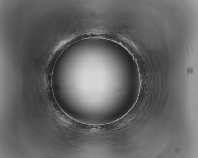X0000094461160200711151443