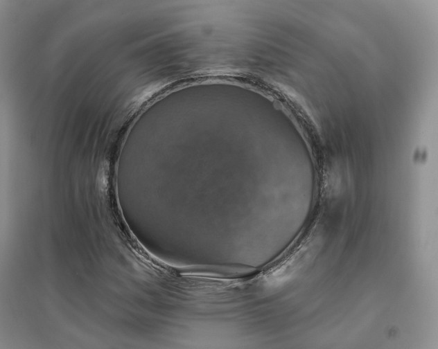 X0000094461161200711151443