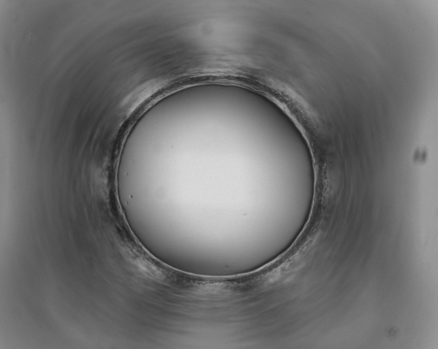 X0000094461162200711151443