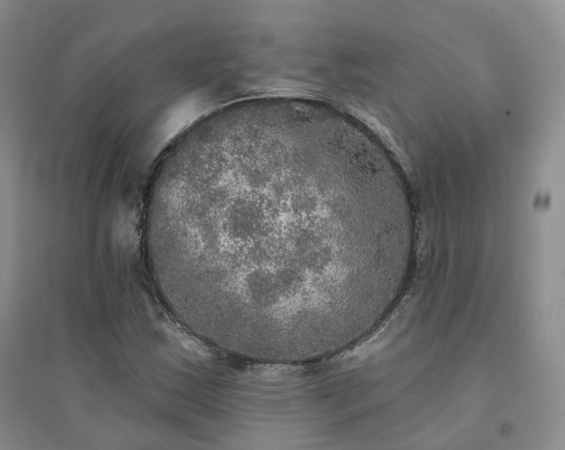 X0000094461163200711151443