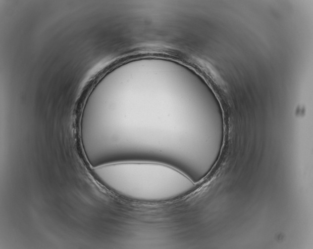 X0000094461164200711151443