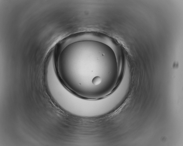 X0000094461165200711151443