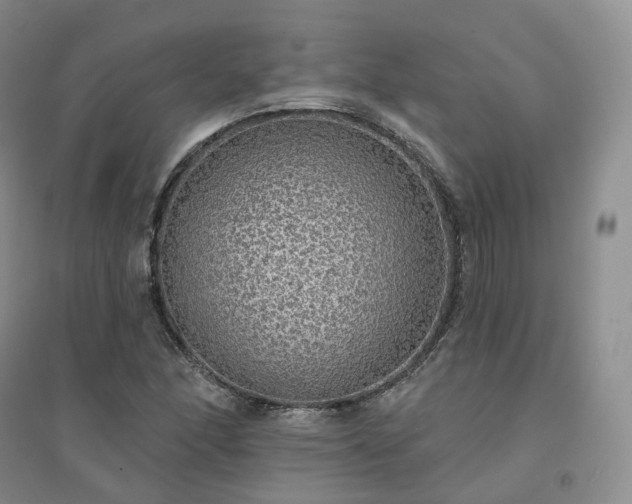 X0000094461166200711151443
