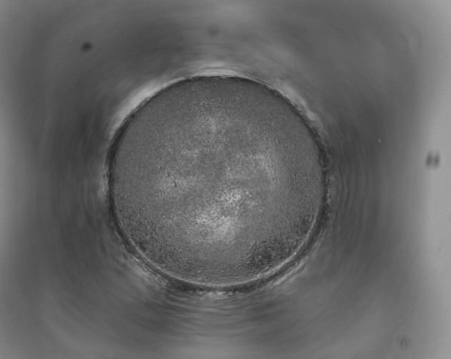 X0000094461167200711151443