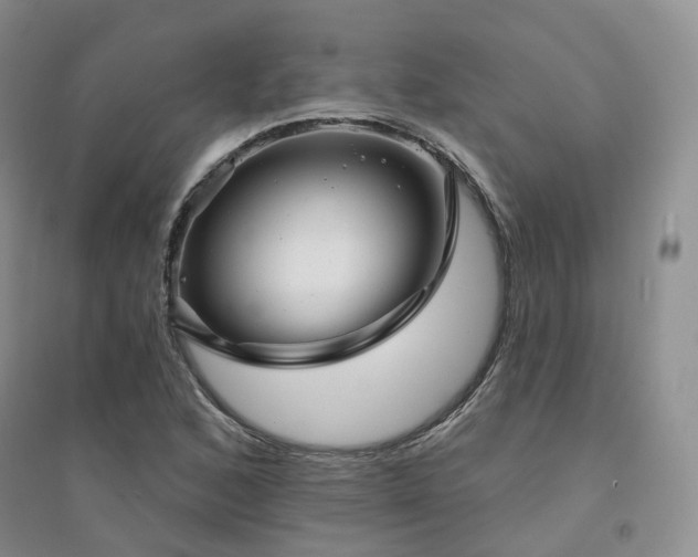 X0000094461168200711151443