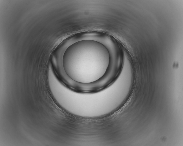 X0000094461169200711151443