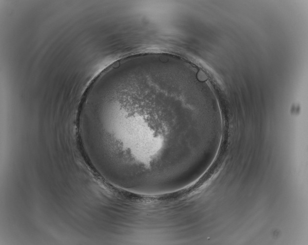 X0000094461170200711151443