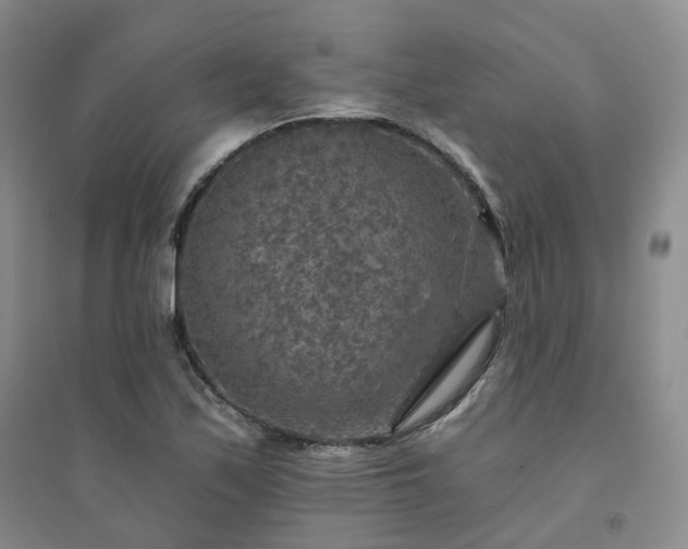 X0000094461171200711151443