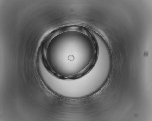 X0000094461172200711151443